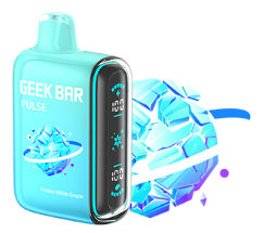 Second image of Geek Bar Pulse Frozen Edition 15k Puff Disposable Vape